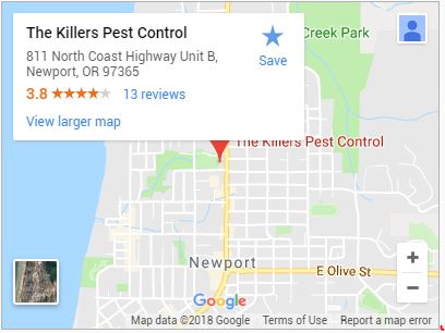 The Killers Pest Control on Google Maps