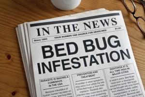 Bed Bug treatment Newport