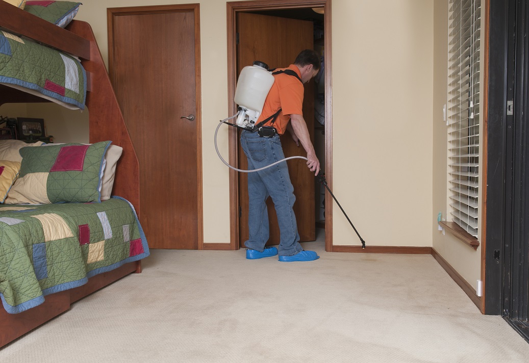 Bed Bug Treatment Portland | The Killers