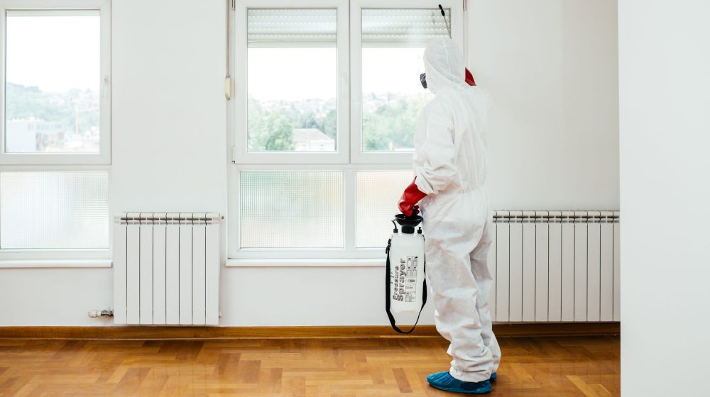 How to Choose the Best Pest Control Company for Your Pest Problem | The