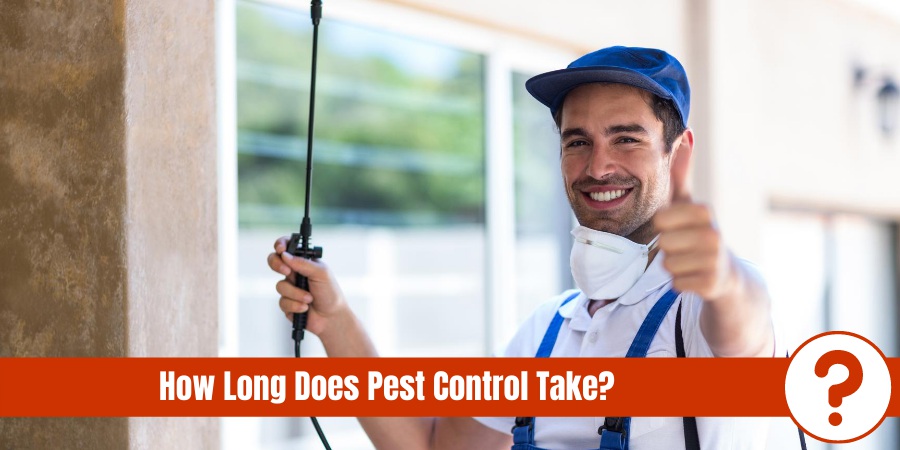 how long after pest control can i go inside