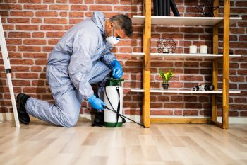 Pest Control Aloha Or