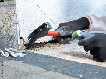 Ant Removal Near Me Florence 