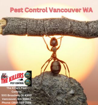 Pest Control Vancouver