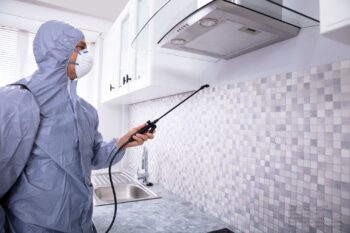 Pest Control Portland OR