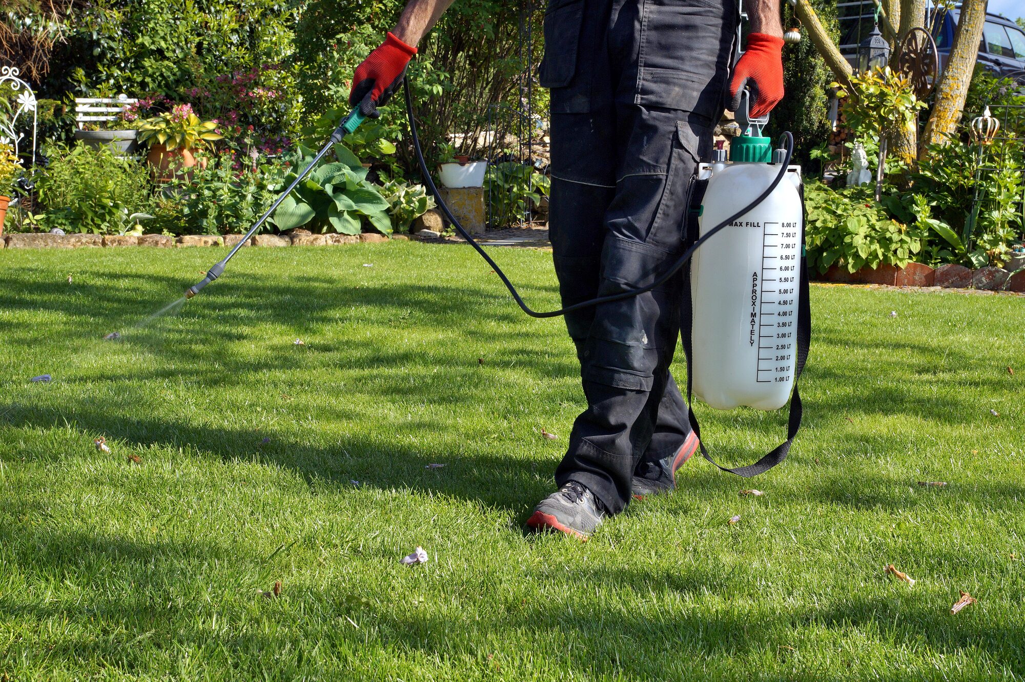 Pest Control Beaverton