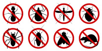Pest Control Portland