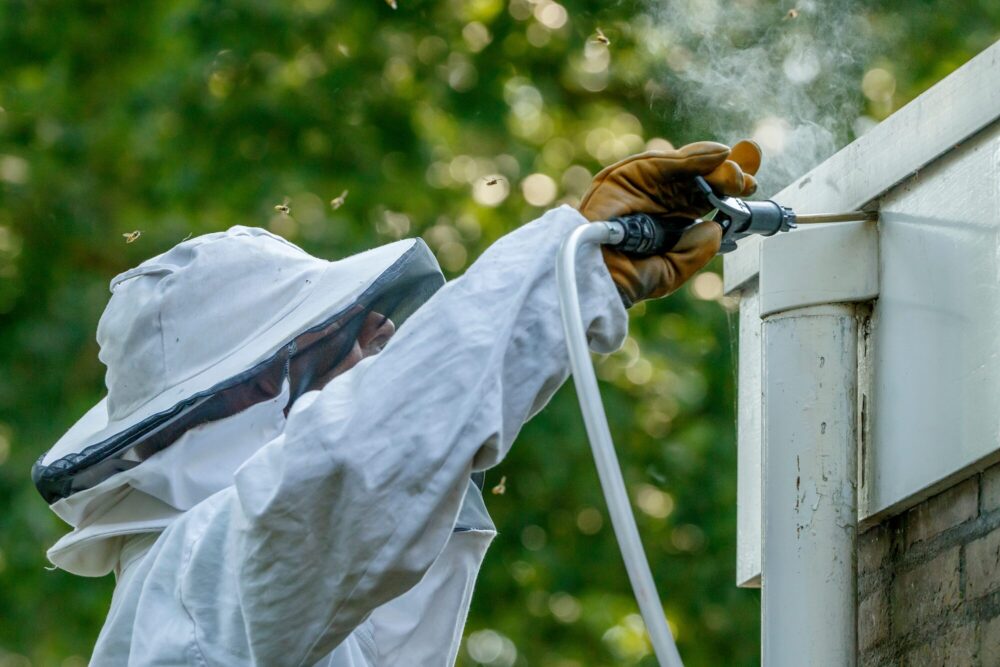 Pest Control Near Me Beaverton Or