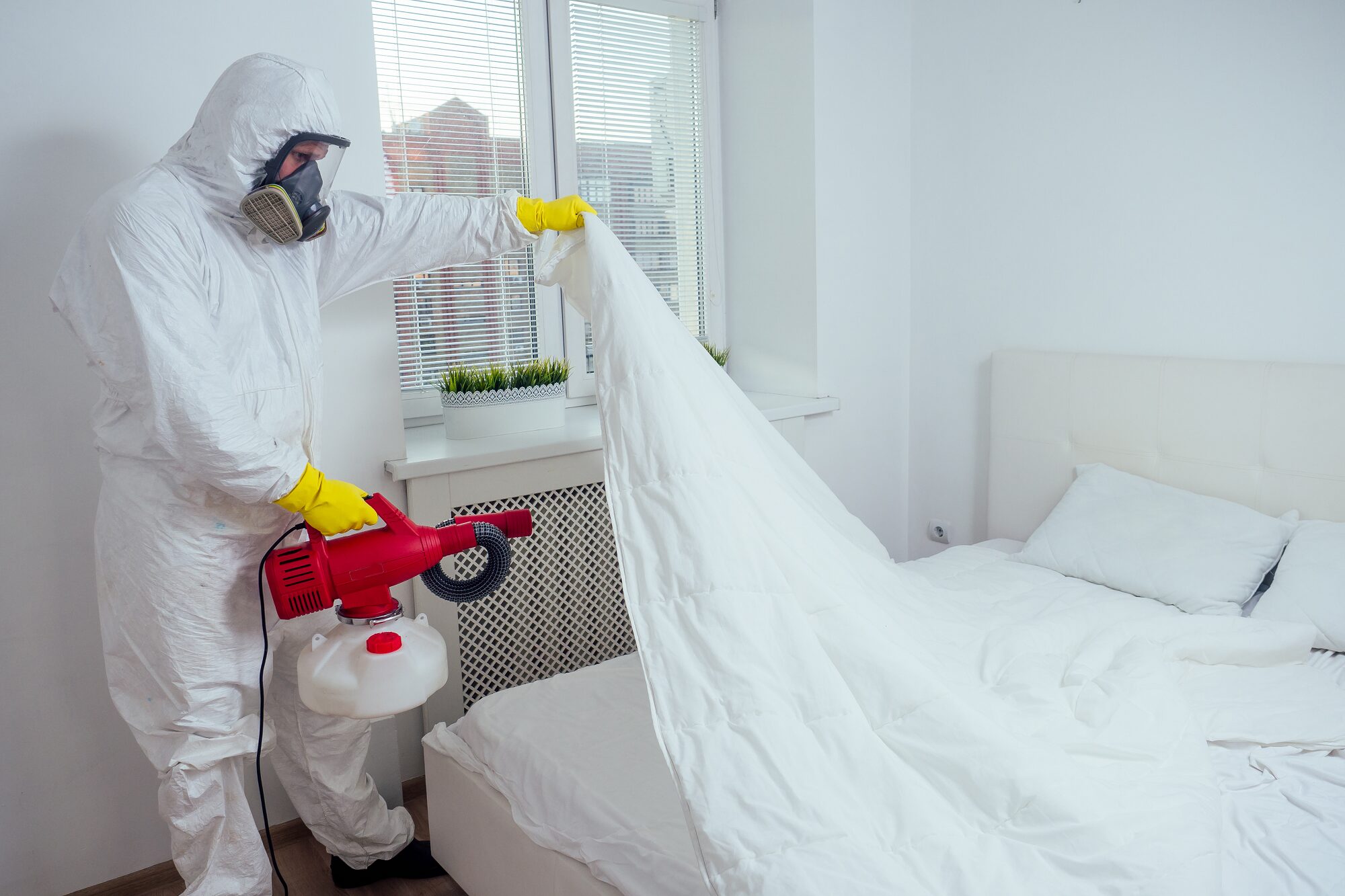 Pest Control Portland Or