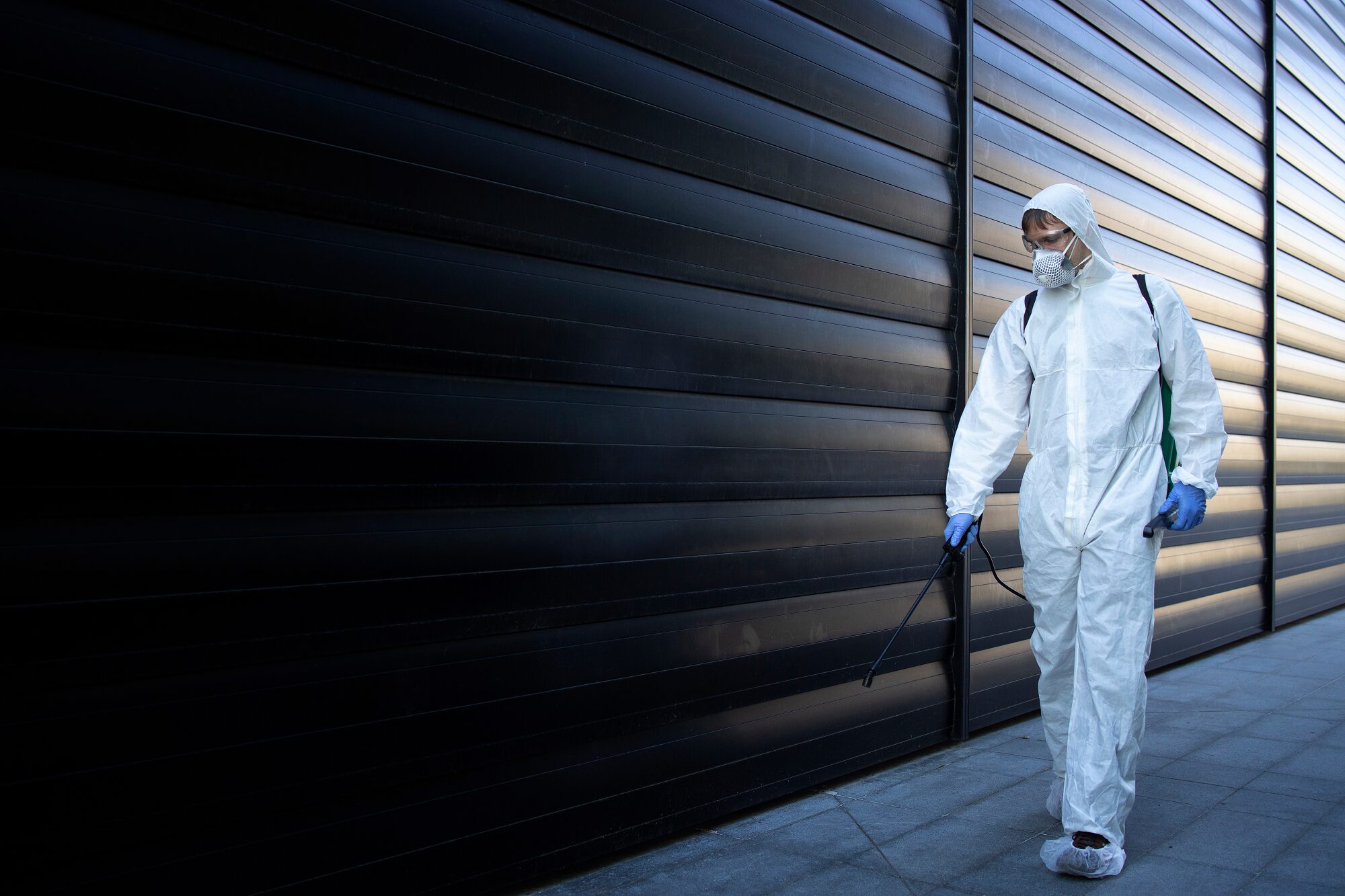 Pest Control Portland