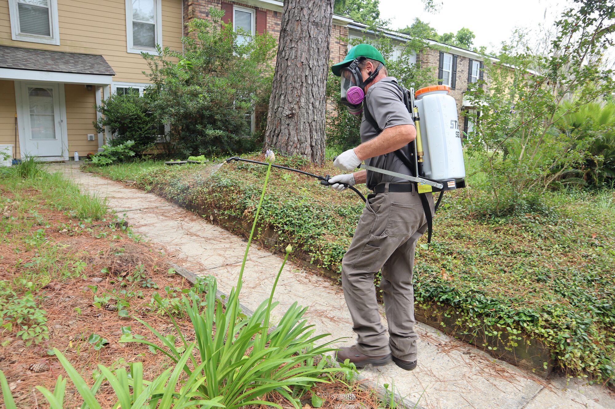 Pest Control in Portland