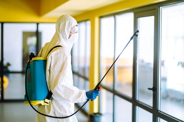 Pest Control near me in Portland