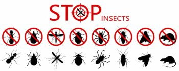 Pest Control Beaverton