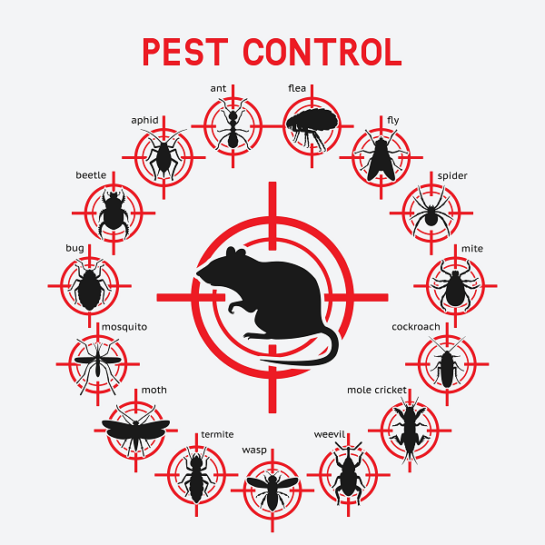 Pest Control near me Beaverton OR