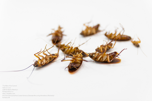 Pest Control Near Me Beaverton Or