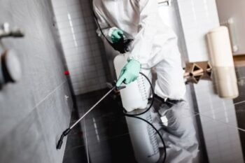 Ant Removal Near Me Amboy WA