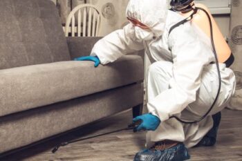 Exterminator Near Me Amboy Washington