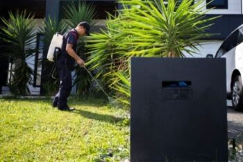 Pest Control Camas Washington