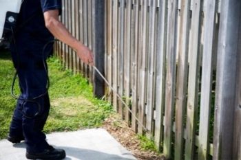Pest Control Hockinson Washington