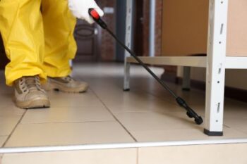 Pest Control North Plains OR