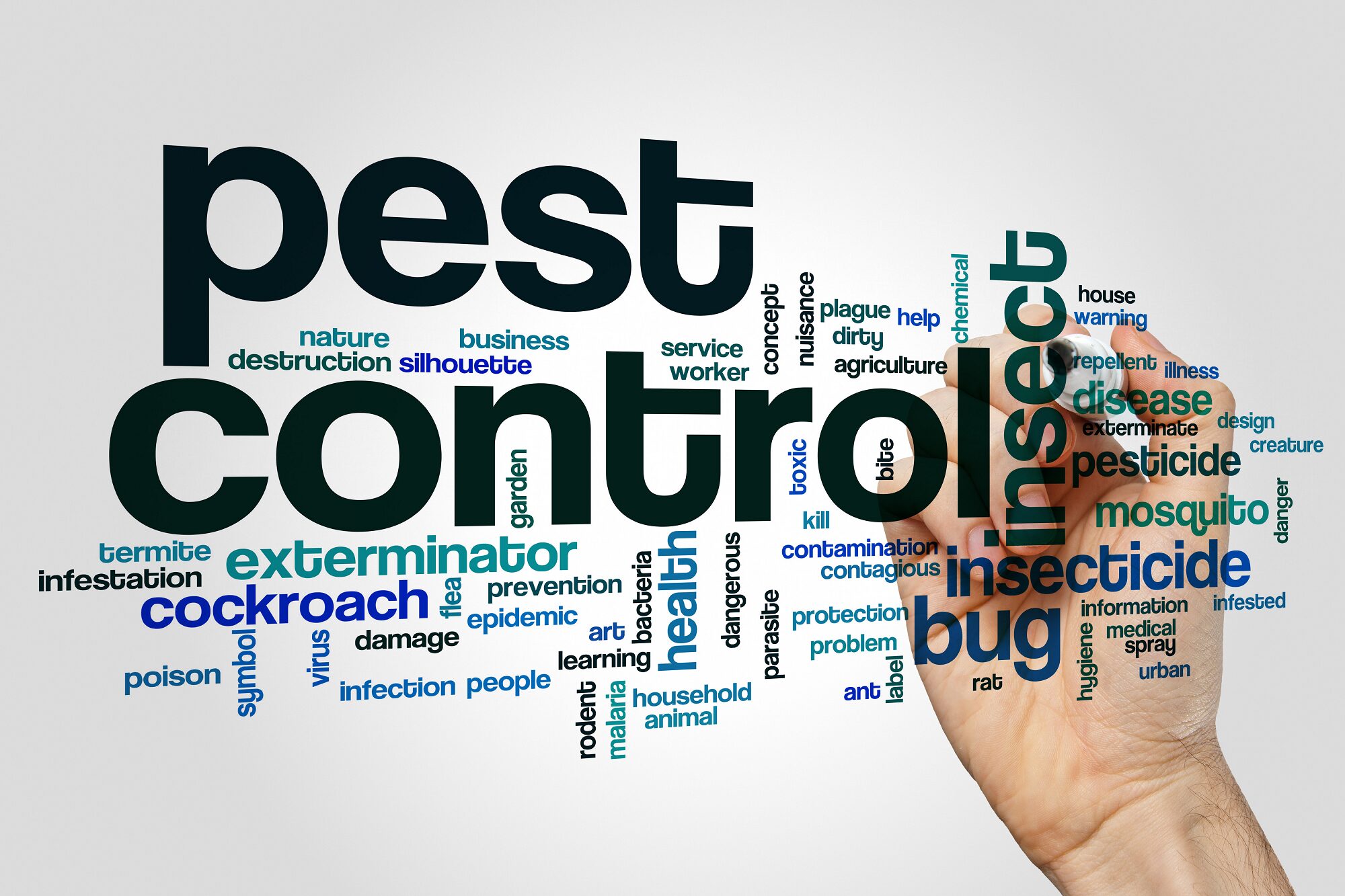 Pest Control in Beaverton OR