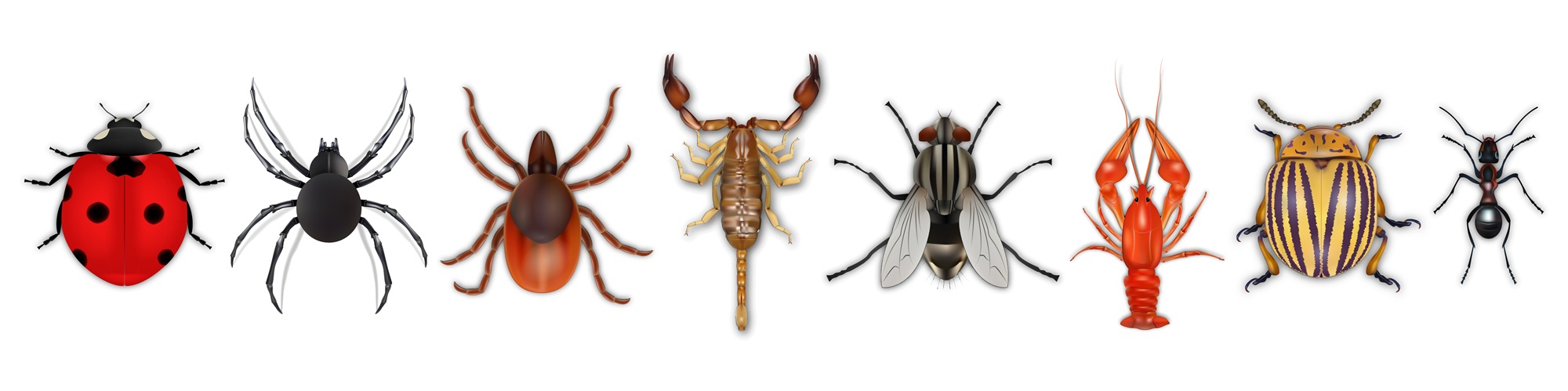 Pest Control Portland OR