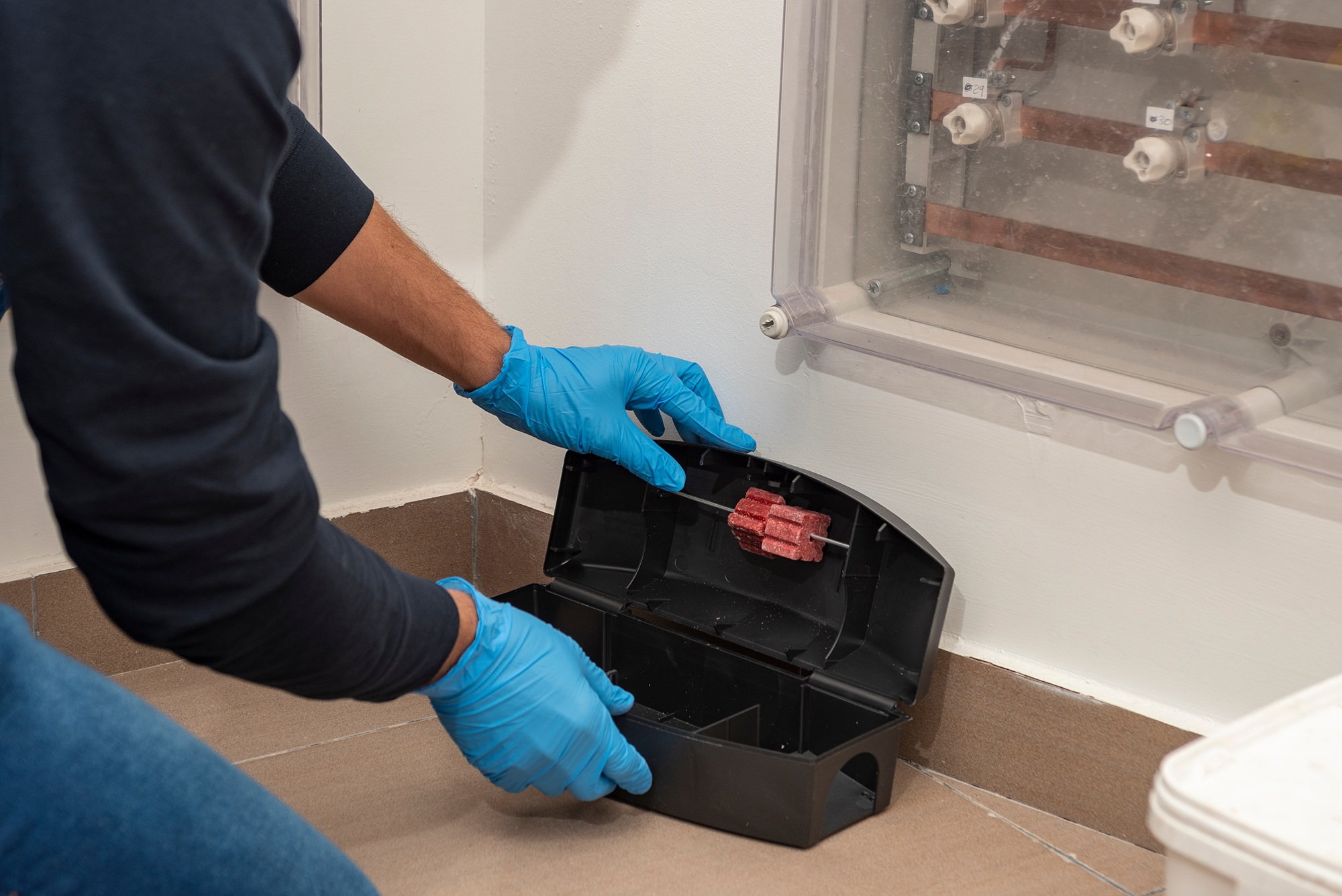 Pest Control Salem OR Pest Control Salem OR