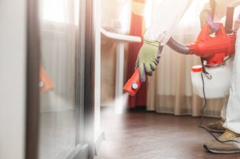 Pest Control Portland