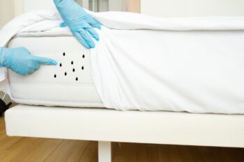 Bed Bug Treatment Salem OR