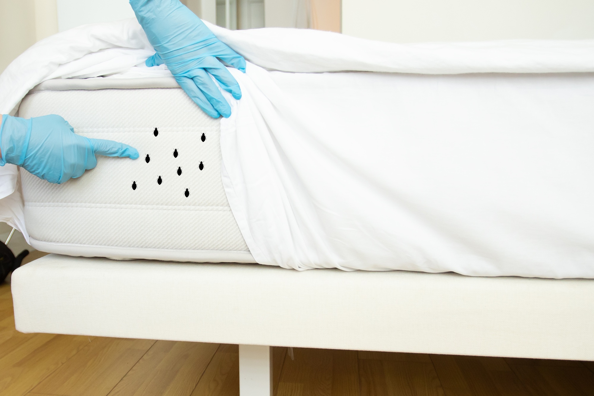 Bed Bug Treatment Salem OR Bed Bug Treatment Salem OR