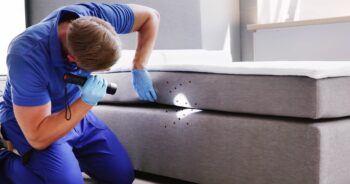 Bed Bug Treatment Salem OR