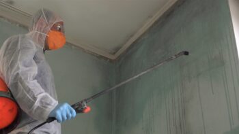Free Pest Inspection Newport OR