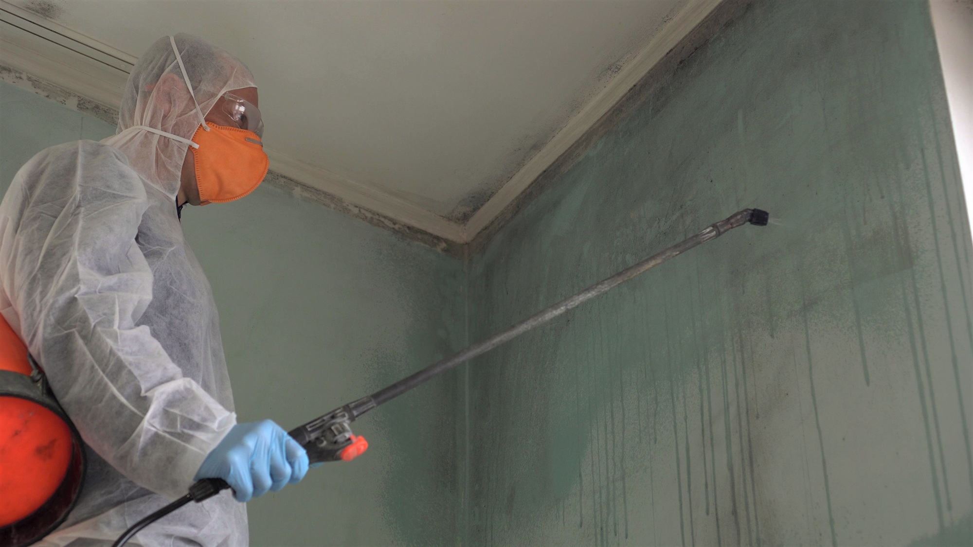 Free Pest Inspection Newport OR Free Pest Inspection Newport OR