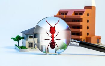 Free Pest Inspection Vancouver WA