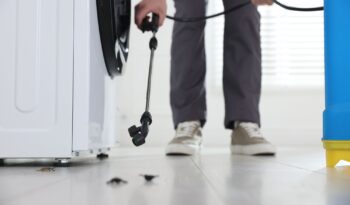 Free Pest Inspection Newport OR