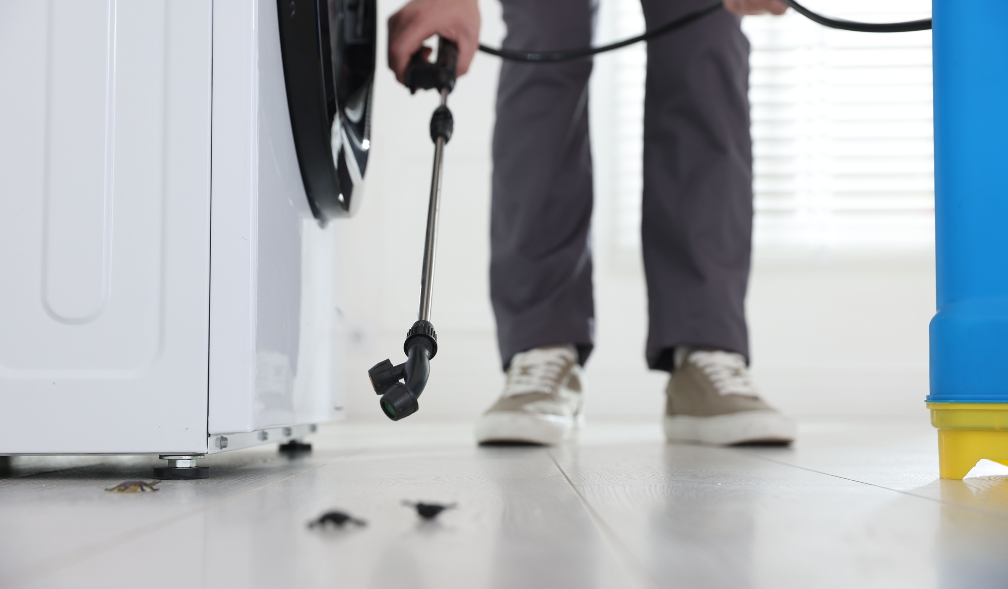 Free Pest Inspection Newport OR Free Pest Inspection Newport OR
