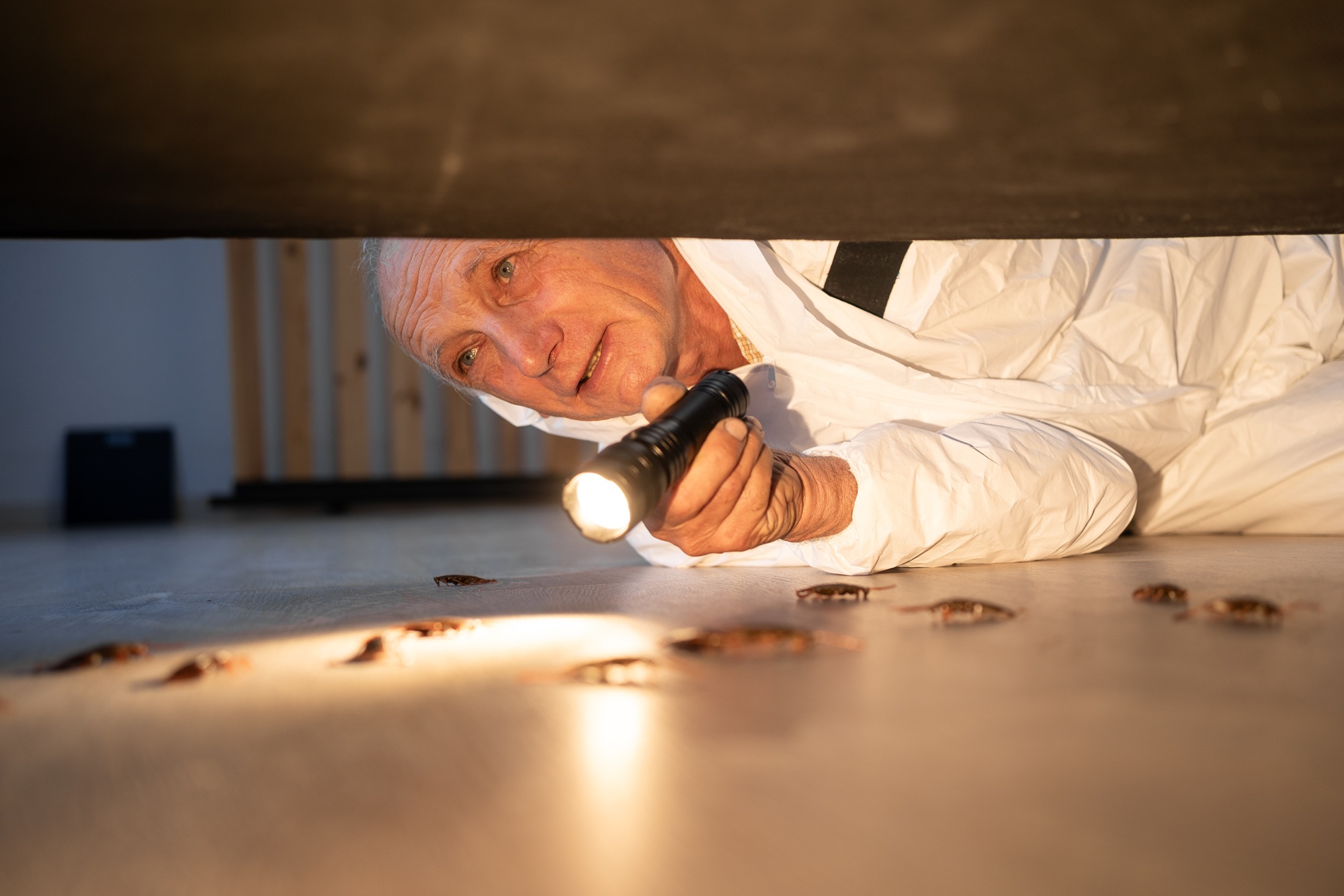 Free Pest Inspection Vancouver WA