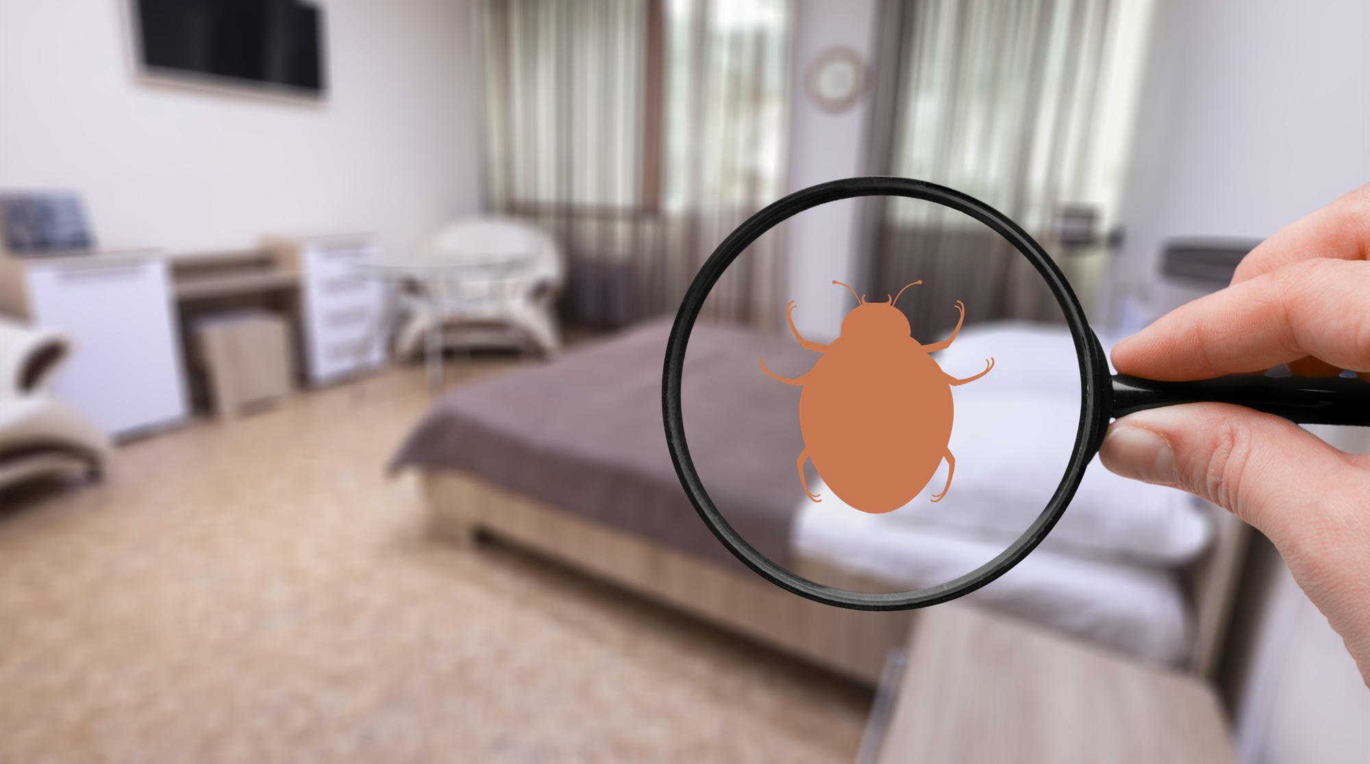 Pest Control Portland Pest Control Portland