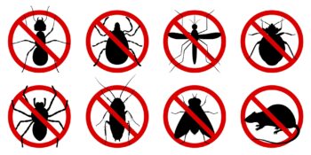 Pest Control Salem OR