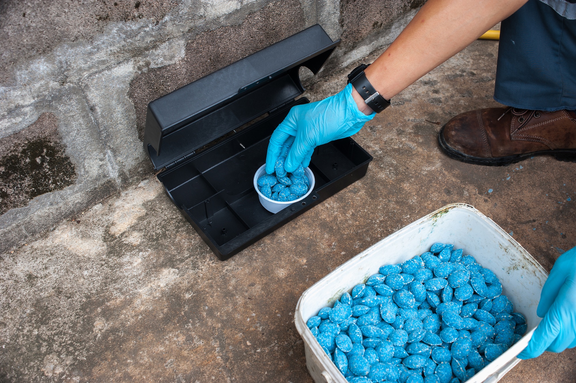 Pest Control Salem OR Pest Control Salem OR