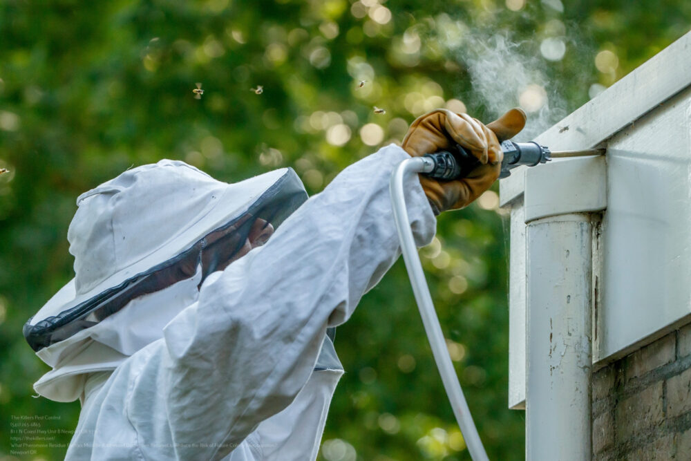 Bee Removal near me Portland OR
