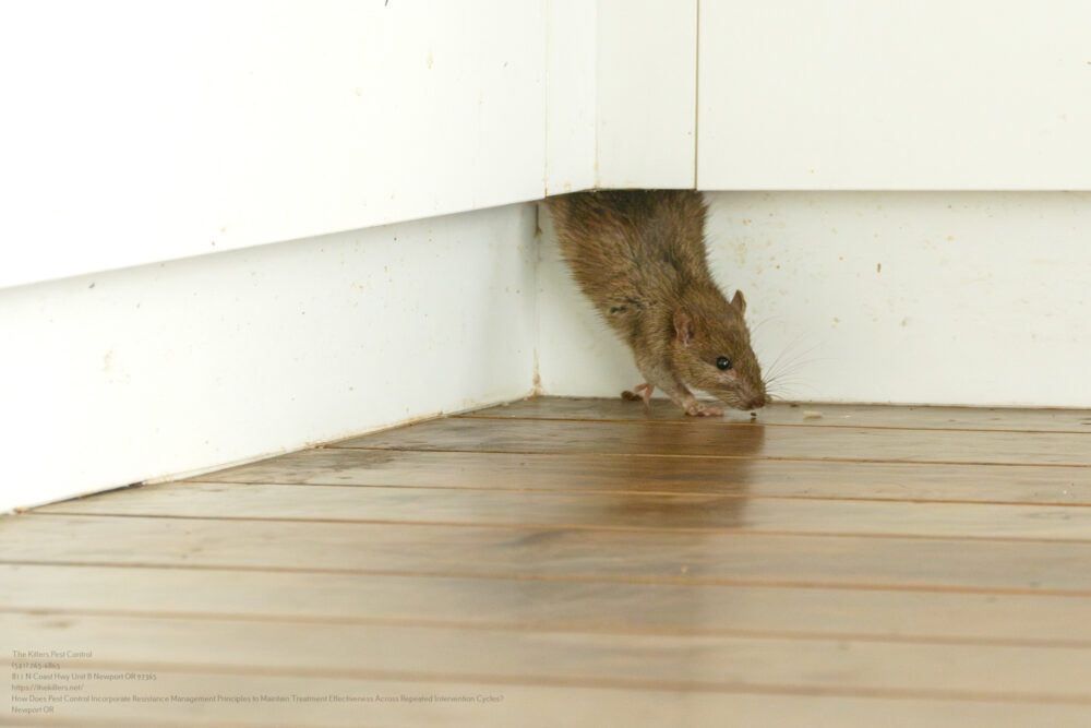 Pest Control near me Newport OR