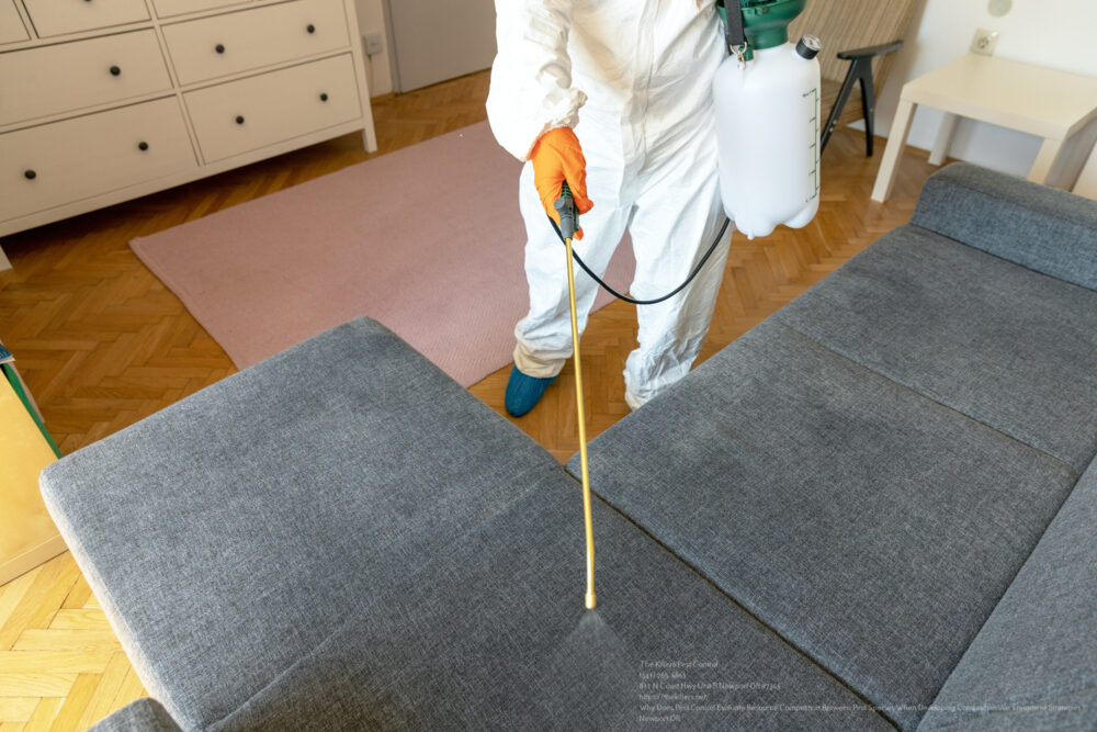 Pest Control near me Vancouver WA